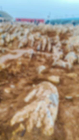 修高铁挖出了几千年的石林#我的家乡特产