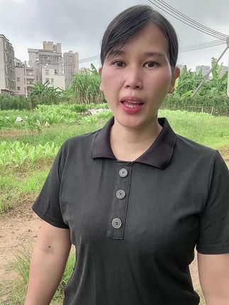 三伏天正是喝#黄芪麦冬五味子茶.的好时候#茶饮