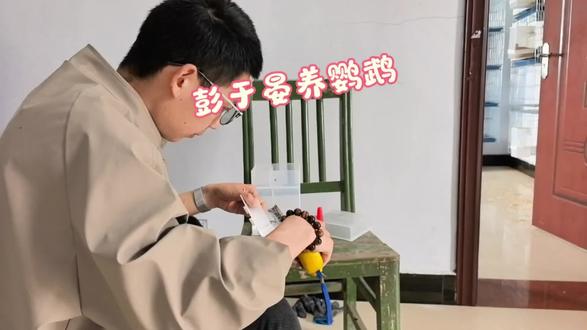 下料器如何改装#鹦鹉饲养箱 #鹦鹉笼diy #鹦鹉鸟笼外挂食盒 @抖音小助手