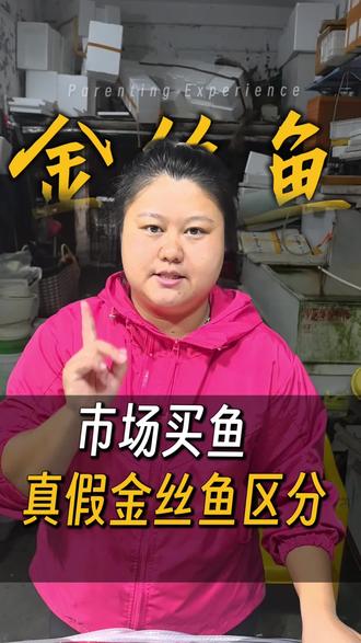 #上热门 金丝鱼跟红杉鱼的区别#本地推