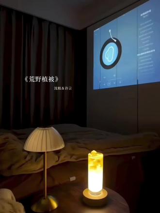 许言 你不要我了
#荒野植被 #沈植许言