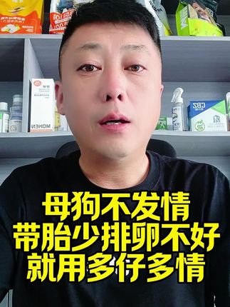 #新手养狗#养狗人#养狗经验分享 #狗狗发情