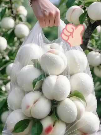 哇塞🫢!老公随便买的奶油大白桃,我一到家就忍不住吃了好几个😁,没想到居然这么好吃,你们吃过吗? #大人小孩都爱吃 #脆甜多汁 #桃子熟了 #白桃 #图文掘金计划