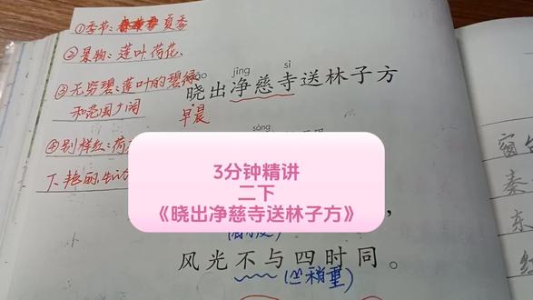 《晓出净慈寺送林子方》3分钟精讲。只会背诵不算学会!这首送别诗很多理解全错,3分钟讲清。看似写荷花,实际是送别!两分钟听懂杨万里千古名作。#晓出净慈寺送林子方 #杨万里 #二下语文