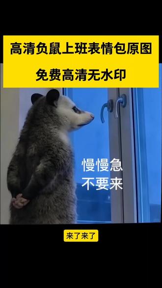 负鼠背手表情包高清图 #负鼠背手表情包高清图
负鼠人民表情包中文
负鼠背手表情包高清
负鼠表情包制作教程 #负鼠表情包制作教程
负鼠表情包评论区
负鼠表情包原图
背手负鼠表情包
负鼠背手表情包梗
负鼠背手表情包含义
负鼠原图微信表情包
负鼠真实图片
负鼠原图无字
负鼠原图下载
高清负鼠表情包
高清负鼠表情包下载
最近很火的负鼠表情包合集
高清负鼠表情包收到办不到
负鼠娘化表情包分享
负鼠兄弟表情包大全
负鼠背手搞笑表情包
负鼠手指对接表情包
负鼠背手聊天表情包
负鼠看窗外表情包下载
负鼠人民睡了吗表情包
负鼠原创表情包
负鼠表情包原图据我所知
负鼠表情包原视频
负鼠表情包原图收到办不到
负鼠表情包原图哪吒不认得
负鼠表情包微信
负鼠看窗外表情包出去
负鼠背手原图
负鼠背手原图无字 #负鼠背手原图无字
负鼠背手原图片
负鼠背手原视频
负鼠背幼崽图片
负鼠原视频
负鼠高清图
负鼠背娃的图片
负鼠背手看窗外图
负鼠背手高清图片
高清负鼠上班表情包原图 #高清负鼠上班表情包原图
高清负鼠上班表情包原图腰栓栓的
高清负鼠上班表情包原图微信
负鼠表情包出处
负鼠表情包口令大全
负鼠人民表情包中文
负鼠表情包评论区
负鼠背手表情包含义
负鼠背手表情包梗
负鼠表情包制作教程
负鼠表情包原图
负鼠表情包微信专用
负鼠表情包怎么添加到微信
负鼠经典表情包
负鼠搞怪表情包合集
#剪映