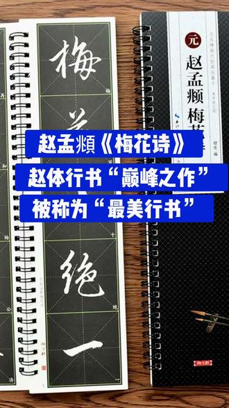 最美行书梅花诗帖,全1册赵孟頫梅花诗米字格放大+原帖欣赏附简体旁注近距离临摹字卡#梅花诗#最美行书#赵孟頫#赵体行书#梅花诗帖