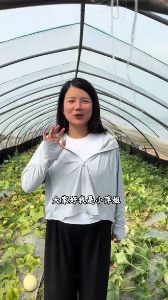 出月子了,今天来二叔家田里摘几个香瓜吃吃,这个玉菇香瓜是我吃所有香瓜中吃的最好吃的。和县周边家人想要吃或是送人的都可以来田里摘买。#记录我的农村生活 #抖音记录美好生活