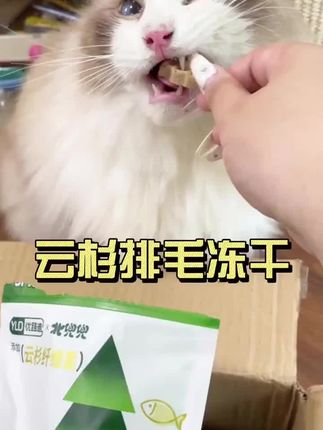 家里常备些云杉排毛冻干,这样猫咪吐的时候,就不会干看着急了#新手养猫 #萌宠好物