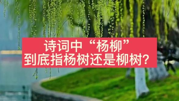 学习大语文#牡丹江#孟老师#写作#