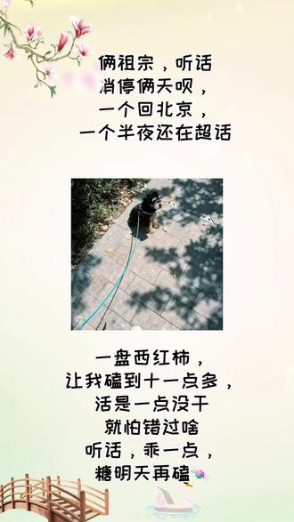 郝熠然回北京了,狗狗留下了,云旗超话待到半夜,一盘西红柿今年是主桌,真怕有一天郝熠然说出那句:你关的灯最黑…………#云旗 #郝熠然