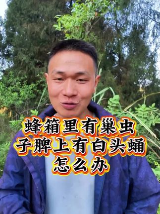 #正能量#正能量传递#正能量上热榜#一念江南官宣#李羲承让粉丝闭眼