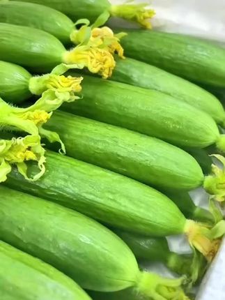 #口感特别好 #快来一起尝个鲜超好吃 #抖音小助手给点流量 #新鲜蔬菜 #d0u上热门十小助手
