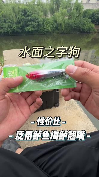 窗口期活性高的时候,非常好用的之字狗。非常刺激的玩法#路亚 #路亚假饵 #水面系路亚 #翘嘴 #鳡鱼