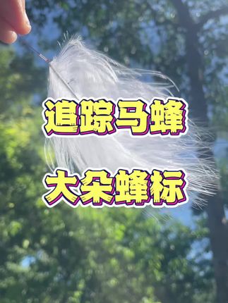 追踪马蜂用的羽毛蜂标,几乎没有重量,纯白色格外显眼,一套一拉即可轻松追踪#羽毛蜂标 #蜂标 #蜂标羽毛 #追踪马蜂 #套马蜂
