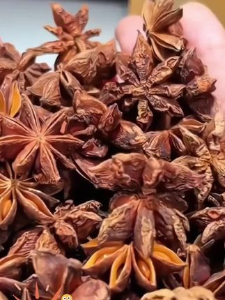新年抢一罐!!!优质新货】无硫八角大料250g香料调味料卤料天然浓郁#八角 #八角调味料 #八角香料 #八角香料推荐