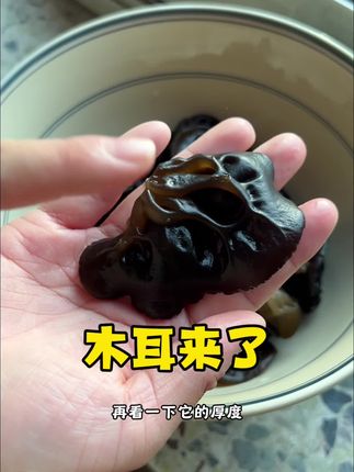 口感如猪耳朵一般,糯中带脆‼️久等了大家,木耳终于来了