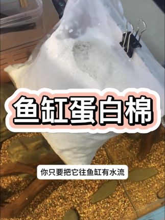鱼缸蛋白棉#蛋白棉 #蛋白棉去黄水
