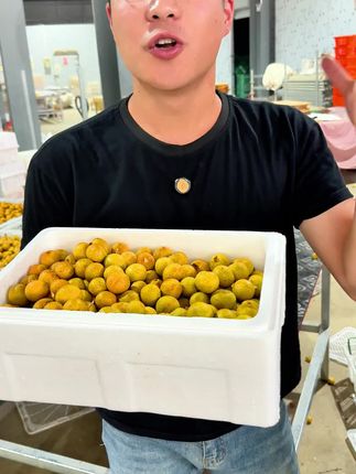 一年只能吃十几天的泰国树熟龙眼成熟了,又香又甜,快来尝尝吧#香甜多汁#龙眼