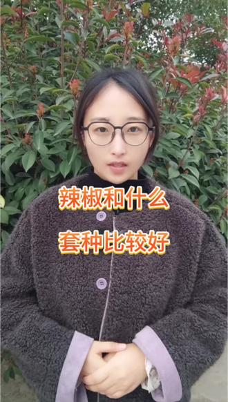 辣椒套种@摩罗根肥料厂家 #蔬菜#辣椒#蔬菜种植#农业#三农@DOU+小助手 @DOU+上热门