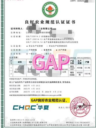 想种出好产品,更想卖出好身价?
GAP认证——不只是标准,更是现代农业的“通行证”和“承诺书”!
✅ 认证对象:合法注册的种植基地、养殖企业等农业生产经营单位(法人或授权)
✅ 合规门槛:近一年无重大安全违规,未违规使用认证标志
✅ 体系先行:建立文件化操作规程,并具备至少3个月的完整记录
✅ 产品范围:申请产品必须在《GAP认证目录》内
📌 为什么选GAP?
→ 质量安全:科学规范生产,每一环都可控、可追溯
→ 持续发展:兼顾环境友好、经济效益与社会责任
→ 市场认可:提升品牌信誉,打开高端渠道的“金钥匙”
📄 流程清晰,专业协助,助你一次过关!
准备材料→提交申请→体系运行→认证检查→获证维护
🚀 还在犹豫?早认证,早领先!
👉 私信咨询,送你一份《GAP认证自查清单》,迈出第一步!
#农业认证 #GAP #质量安全 #可持续发展 #农产品升级