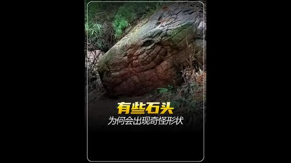 这些石头为何会这样呢#科普#石头 #冷知识