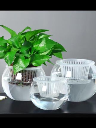水培植物玻璃瓶水养绿萝花瓶花盆大号透明玻璃圆球鱼缸器皿容器