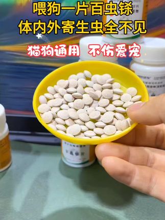 #萌宠出道计划 #萌宠 #科学养宠攻略 #养狗经验分享 #萌宠推荐官