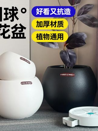 北欧轻奢加厚阳台大号奶油风黑金刚橡皮树鸭脚木胖盆树脂圆球花盆 #花盆 #花盆推荐 #结实耐用 #北欧风花盆 #奶油风花盆