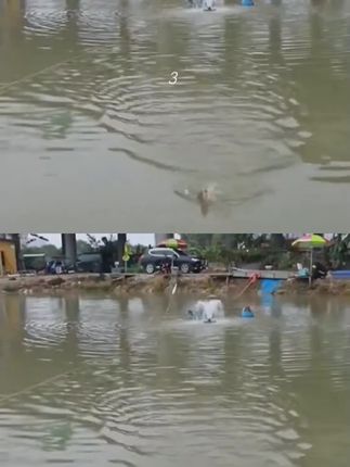视频同款好物下方小黄车下单