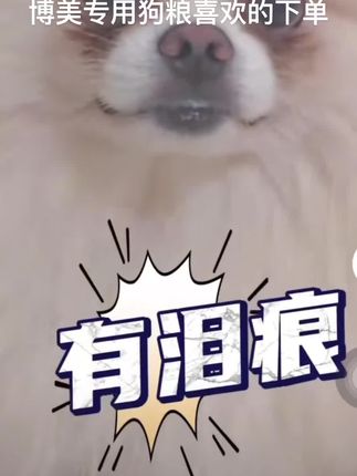 (推荐同款)【狗宝宝博美专用狗粮幼成犬小型犬宠物美毛营养健康无谷易消化犬粮】视频同款博美专用狗粮,好产品推荐给大家喜欢的下单🌹