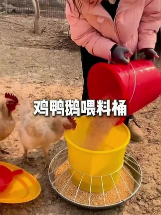 喂家禽鸡鸭鹅喂料桶自动采食器重力下料家禽饲料槽喂鸡神器散养#散养鸡 #喂鸡咯 #家禽养殖 #喂鸡神器 #养鹅