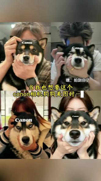 canon相机狗狗ai 这相机是真的狗啊 canon相机狗狗头像 佳能狗头相机 canon相机狗狗表情包 canon相机狗狗p图 canon相机狗狗音乐 canon相机狗狗拍照 canon相机狗狗美图 canon相机狗狗p图指令 canon相机狗狗 佳能狗头相机使用方法 canon相机狗狗字体 canon相机猫猫 佳能狗相机拍照技巧 宠物专用狗头相机 canon相机狗狗阿拉斯加 佳能相机狗狗指令 小狗相机canon字体 佳能狗相机p图#小云雀AI #小云雀AI一镜到底 #小云雀AI一键图片设计 #小云雀AI视频 #canon相机