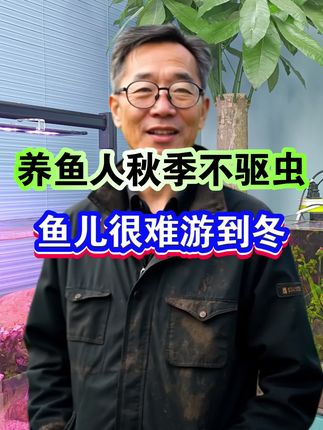 养鱼人秋季不驱虫,鱼儿很难游到冬#养鱼人#水族#观赏鱼#新手养鱼