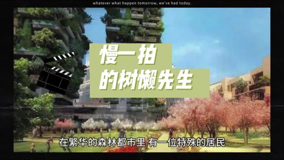 慢一拍的树懒先生 慢慢得治愈