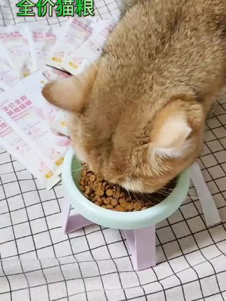 一袋50克,到手足足半斤的烘培猫粮,真的太划算了,有条件就多薅几单,能当正装粮吃了#妙汪天下试吃装猫粮#养猫新手 #猫咪好物推荐 #猫粮推荐性价比高#无限回购的单品