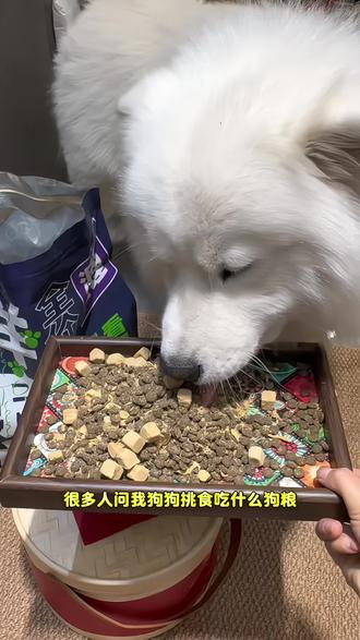我家狗狗一直吃的#鲜粮说鸭肉梨狗粮,就很适合挑食和眼屎多的狗狗,梨丁搭配肉肉松,适口性也很好,趁活动划算赶紧囤#狗粮推荐 #鲜粮说经典鸭肉梨狗粮 #狗狗泪痕 #新手养狗