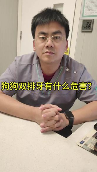 狗狗双排牙会有什么危害呢?@瑞派华南 #双排牙 #狗狗双排牙 #狗狗牙结石 #科学养宠 #宠物超声波洁牙
