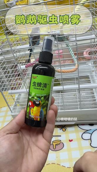日常给鹦鹉喷点这个驱虫喷雾,小鸟不生病健健康康安全过冬#鹦鹉驱虫喷雾 #鹦鹉 #鹦鹉驱虫 #鹦鹉热 #新手养鹦鹉