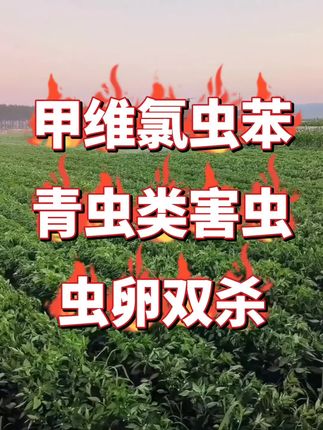 甲维氯虫苯青虫类害虫虫卵双杀#三农#农业#杀虫剂#虫害防治 #种植