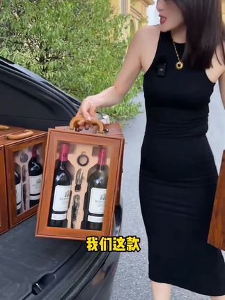 法国进口干红葡萄酒
