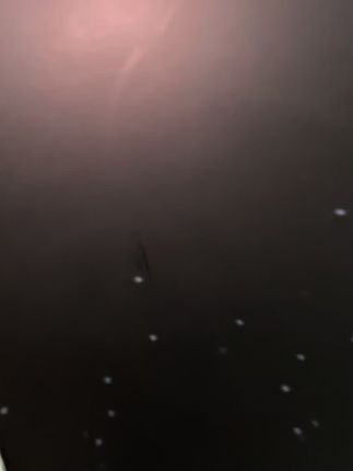 朋友问我:买个好音响值吗? 我说:值! 因为听周杰伦的《晴天》时,普通音响是“哼唱”; 好音响是“心碎”。🌧️💔 ——差别就在于,你是听个响,还是听见故事。🎶