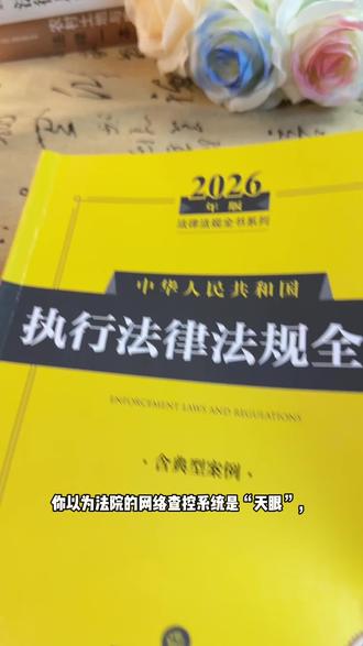法院网络插控也是有盲区的,债券人须知#强制执行#法律法规