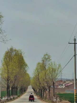 还是喜欢这浓郁的乡村气息。