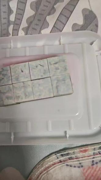 我和我妹妹看霉豆腐想玩,用我的世界磁力方块做了一个霉豆腐玩儿