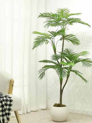 氛圍感神器👍👍 仿真綠植散尾葵 在室内也能享受到‘’在树下‘’的感觉😄 #仿真绿植#散尾葵 #软装搭配 #仿真花 #绿植盆景