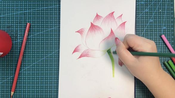 彩铅荷花|零基础也能画的仙气荷花 彩铅荷花超详细教程
零基础也能画,简单又仙气
手残党放心冲,治愈又解压🌷
#彩铅画 #手绘教程 #零基础学画画 #画画教程 #治愈系画画