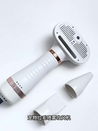 宠物用品 宠物吹风机拉毛吹风梳#宠物用品 #宠物吹风机 #强烈推荐