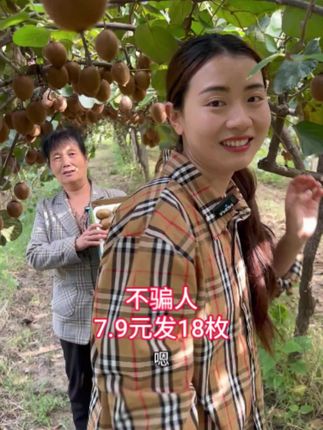 自家的徐香猕猴桃熟啦,7.9元发18枚包邮#如果丰收农作物会说话 #抖音美好丰收节 #星乡村星农人 #我要上热门 #猕猴桃