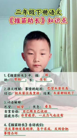 #二年级语文下册 寓言二则《揠苗助长》课文知识点~#小学语文 #知识分享 #知识点总结 #必考考点