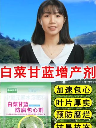 #白菜甘蓝防腐包心剂